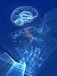 你的大腦是我的游樂(lè)場(chǎng)